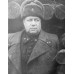 Пуговица генералов Красной Армии, обр.1941 г., диаметр 23 мм, Хаки. 